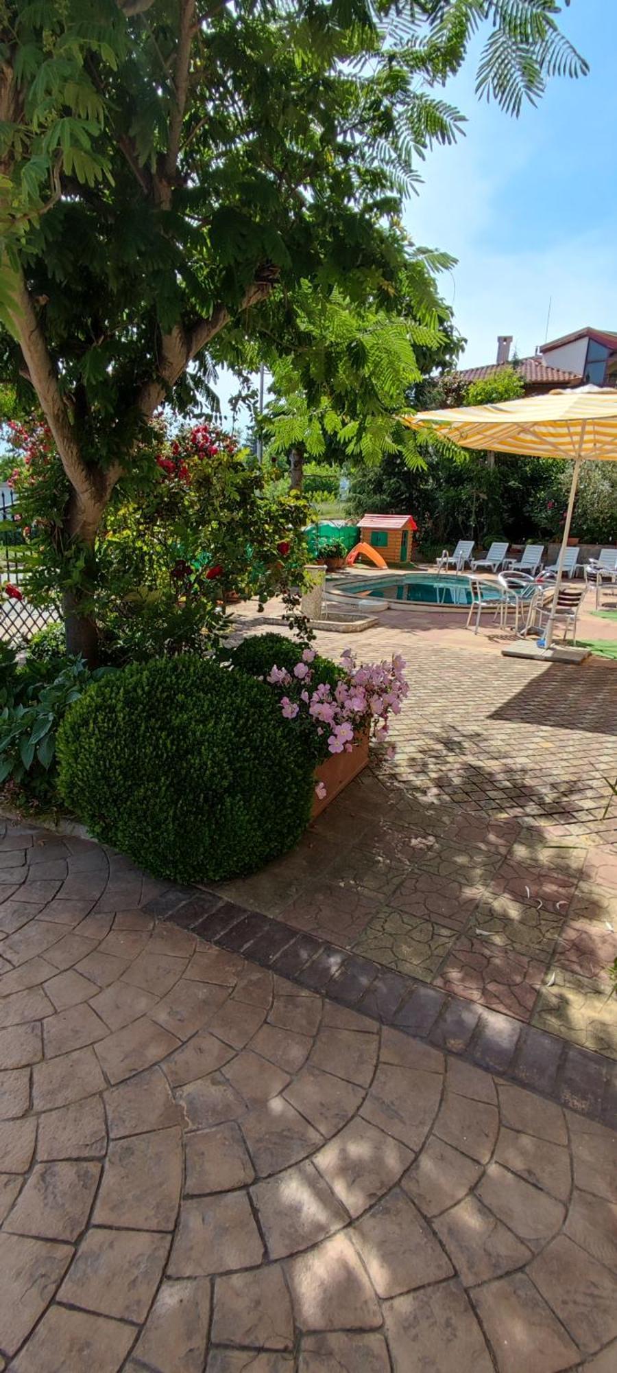 Family Hotel Mimosa 사레보 외부 사진